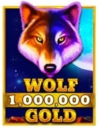 รู้จักกับการทดลอง เล่น สล็อต เว็บ ตรง อย่างถูกวิธี